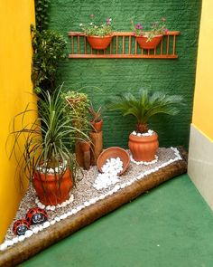 Garden Ideas To Make, Front Yard Patio, نباتات منزلية, Small Front Yard Landscaping, Small Front Yard, Gravel Garden, Smart Garden, Garden Makeover