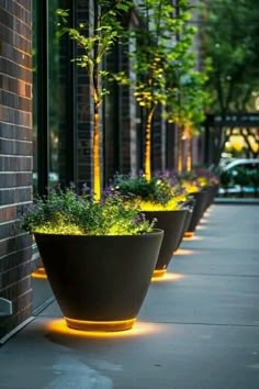 several planters are lined up along the side of a building with trees in them