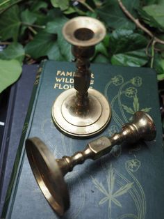 an antique brass candle holder on top of a green book with the words family wild flowers written on it