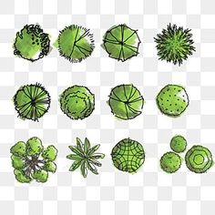 green plants and umbrellas are arranged in the shape of different shapes, including one that is