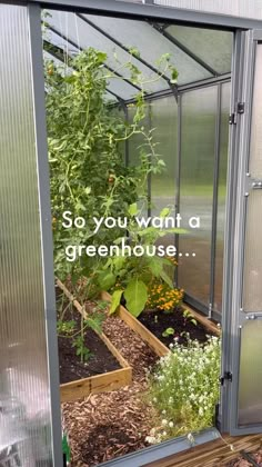 there is a small greenhouse with plants growing in it and the words so you want a greenhouse