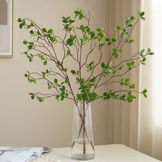 a glass vase filled with green leaves sitting on top of a white table next to a window