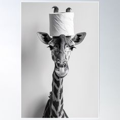 High-quality posters to hang in dorms, bedrooms or offices. Multiple sizes are available. Printed on 185gsm semi gloss poster paper. Additional sizes are available. Funny giraffe bathroom wall art - a vintage style black and white photo of a giraffe holding a toilet paper roll on it's head. Perfect printable funny bathroom wall art and home decor to make anyone visiting your bathroom have a laugh! Toilet Artwork, Giraffe Bathroom, Bathroom With Toilet, Animal Bathroom Decor, Funny Giraffe, Giraffe Decor, Funny Bathroom, Boys Bathroom, Bathroom Humor