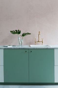 a kitchen with two sinks and green cabinets