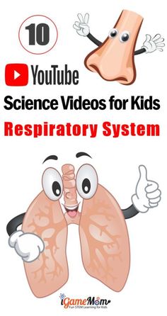 Science Videos on YouTube teaching kids human body respiratory system: lung, nose, larynx, trachea, bronchi, ... and how blood carries oxygen, how to keep lung healthy. There are videos for kids of different age groups: preschool, kindergarten, elementary school, middle and high school. #ScienceForKids #STEMforKids #iGameMomSTEM Lungs Activities For Kids, Body Systems For Kids, Respiratory System Activities, Homeschool Anatomy, Activities For Elementary Kids, Outdoor Science, Science Apps