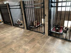 three dogs are sitting in their beds behind bars