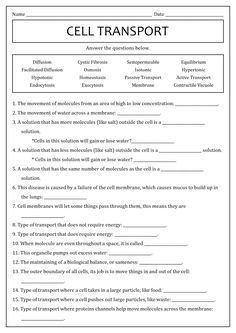 cell transport worksheet with answers for students to use in their class or classroom