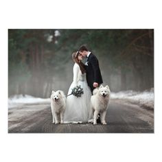 a bride and groom kissing with two white dogs in the middle of an empty road