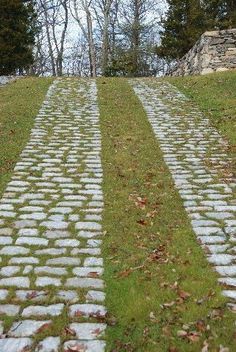 a stone path with grass and trees in the background