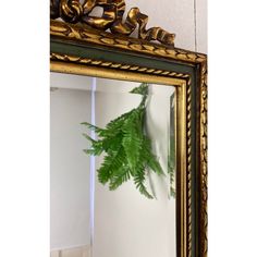 a mirror that has some plants in it