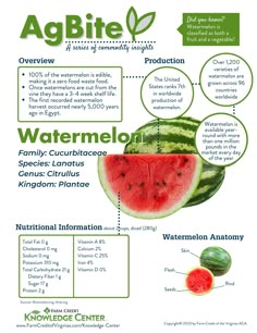 the watermelon info sheet is shown with information about its benefits and uses in it