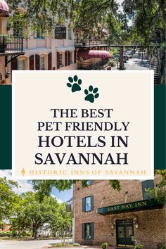 Pet-Friendly Savannah Hotels Savannah Hotels, Savannah Tours, Historic Savannah, Baby Moon, Pet Hotel