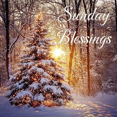 a snowy christmas tree with the words sunday blessing