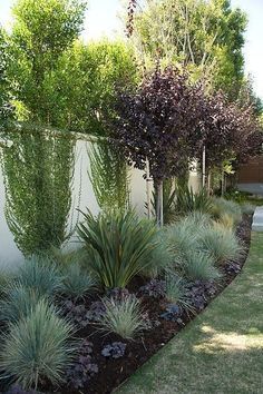 a garden with lots of different plants and trees in it's side walk area