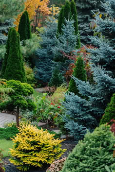 Discover the perfect conifer trees to add vibrant year-round color to your garden. Explore a variety of options for a stunning landscape design. Landscape Ideas Evergreen, Backyard Evergreen Trees, Weeping Spruce Landscaping, Garden With Pine Trees, Front Yard Evergreen Landscaping Ideas, Tree Grove Landscape, Evergreen Garden Design Front Yards, Landscaping With Conifers, Conifer Garden Design