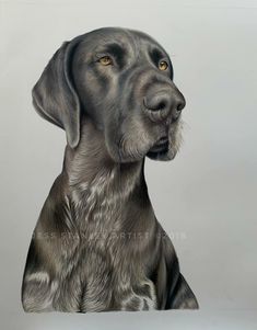 a drawing of a black dog with yellow eyes sitting in front of a white background