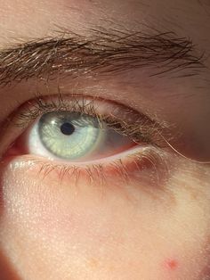 Blue eye, green eye Icy Green Eyes, Gray Green Eyes, Green Eyes Pale Skin, Pale Green Eyes, Aquamarine Eyes, Grey Green Eyes, Brown Eyes Aesthetic, Jade Eyes, Blue Eye Color