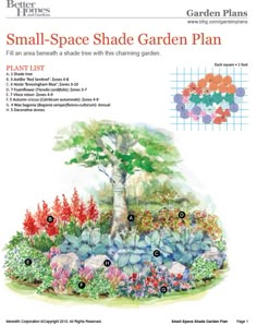 the small space shade garden plan