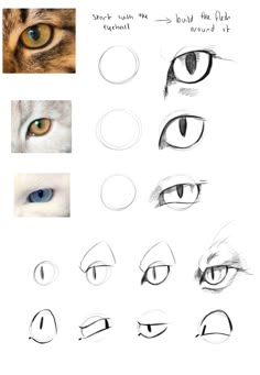 how to draw an anime cat's eyes step by step instructions for beginners