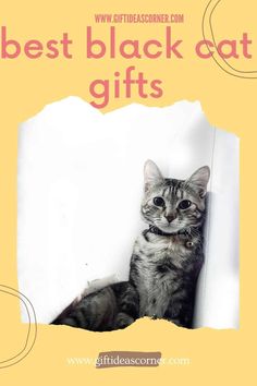 a cat sitting on top of a white wall next to the words best black cat gifts