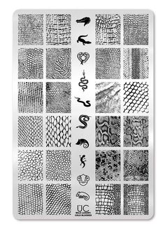 a poster with different types of snake skin patterns on the front and back of it