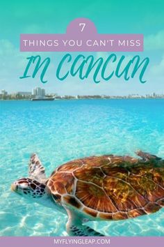 a turtle swimming in clear blue water with the words 7 things you can't miss in