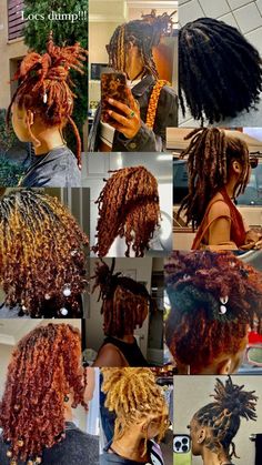 Dyed Natural Hair Locs, Died Locs Ideas, Long Starter Locs, Loc Color Ideas Black Women, Loc Extensions Permanent, Coloured Locs, Locs Extensions