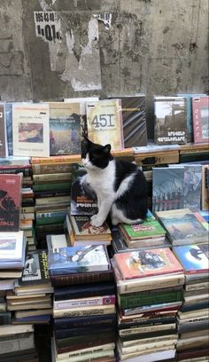 a black and white cat sitting on top of a pile of books