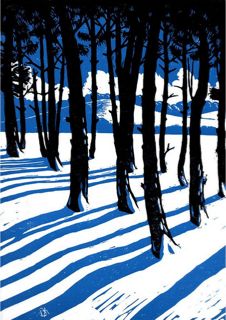 an image of trees in the snow with blue and white stripes on it's side