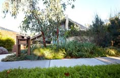 a house with trees and bushes in the front yard, next to a sidewalk that has grass growing on it