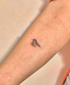 a small bird tattoo on the arm