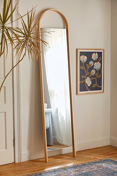 a large mirror sitting on top of a wooden floor next to a potted plant