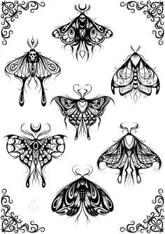 six different types of moths in black and white, with intricate designs on the wings