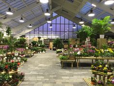 the inside of a flower shop filled with lots of plants