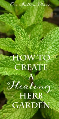 green leaves with the words how to create a relaxing herb garden