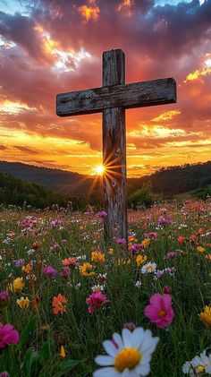 a wooden cross sitting on top of a lush green field filled with flowers under a cloudy sky