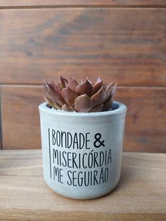 a potted plant sitting on top of a wooden table