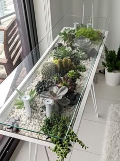 a glass table with succulents and rocks in it