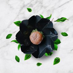 a piece of cake sitting on top of a leafy black flower with green leaves around it