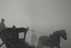 a horse pulling a buggy with a man on it's back in the fog