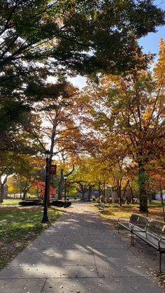 an empty park with benches and trees in the fall colors, along side a sidewalk