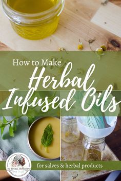 Herb Infused Oils, Herbal Infused Oil, Calendula Infused Oil, Benefits Of Herbs, Herbs Medicine, Homemade Salve, Herbal Oils, Herbal Salves