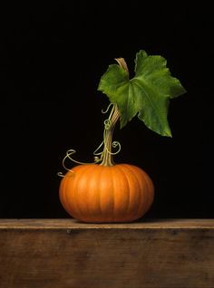 an orange pumpkin sitting on top of a wooden table next to a green leafy plant