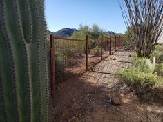 a fenced in area with cactus trees and mountains in the backgrouds