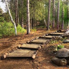 several stepping stones in the middle of a wooded area with trees and rocks on each side