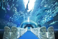 an underwater wedding venue with white chairs and blue carpet