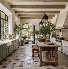 a large kitchen with lots of counter space and potted plants on the table in it