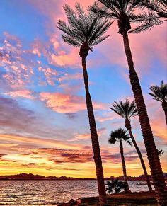 palm trees are silhouetted against an orange and blue sunset over the ocean with mountains in the distance