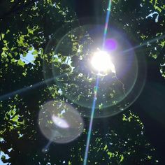 the sun shines brightly through some trees