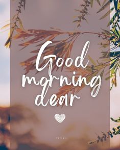 the words good morning dear are written in white on a blurry background with leaves